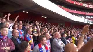 Arsenal 2  1 Crystal Palace 2014  PalaceFanTV [upl. by Htevi240]