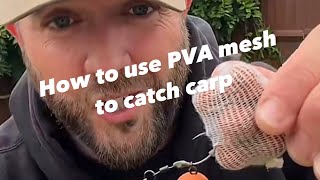 A mega tactic to catch carp  PVA mesh bag [upl. by Tomasz]