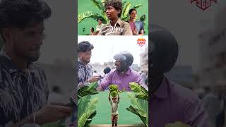 Vaazhai Public Review  Maari Selvaraj  Trichy Response  Trichy 360 Trichy Shorts trichy360 [upl. by Inava]