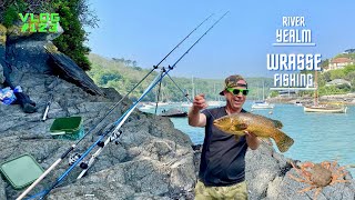 Sea Fishing Uk  Wrasse Fishing Adventures  River YealmWembury  Vlog123 [upl. by Drusie]