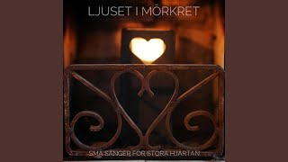 LJUSET I MÖRKRET [upl. by Itirahc119]