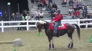 Royal Winter Fair 2014– Spirit of the Horse Grass Roots Cowboy Obstacle Course Run [upl. by Emelia252]