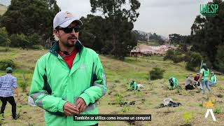 Plantamos 300 árboles al interior del Parque de Innovación Doña Juana [upl. by Ecnarolf]