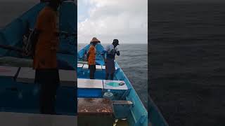 semma malaila fishing🌧️🌧️ [upl. by Omoj]