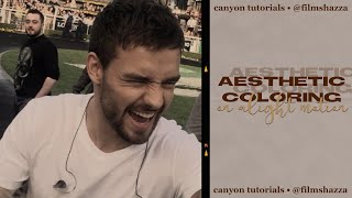 aesthetic coloring tutorial on alight motion [upl. by Woodsum461]