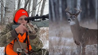 Canadian whitetail deer hunting [upl. by Gnuh]