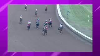 11132024 Finger Lakes Racetrack up to 10 second delay [upl. by Any]