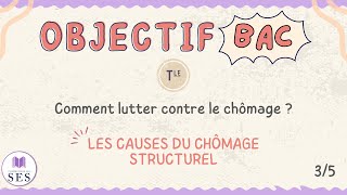 BAC Cours chômage  Les causes du chômage structurel [upl. by Araem403]