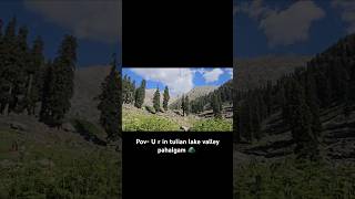 Tulain lake valley pahalgam doctor beautiful nature kashmir srinagar ytshorts trending [upl. by Pimbley]