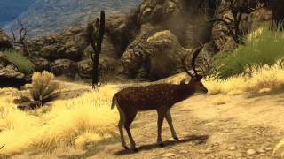 Cabelas Big Game Hunter 2010  long dev trailer [upl. by Waki]