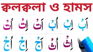 নূরানী কায়দা পর্ব১৭  Noorani Qaida Part17  ক্বলক্বলা হরফ ও হামসের হরফের বিশুদ্ধ উচ্চারণ শিখুন [upl. by Uase]