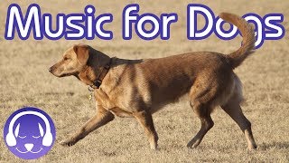 15 Hours of Classical Music for Dogs  Help your Dog Sleep FAST 2019 [upl. by Borlase196]