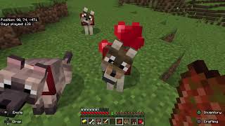 The road to ENCHANTMENT Minecraft part 14 with unsandes [upl. by Middleton166]