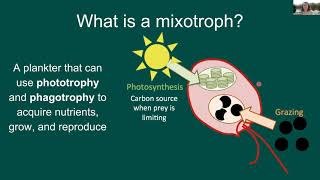 OCB2021 Overview of OCB Mixotrophy amp Mixotrophy working group [upl. by Arley]