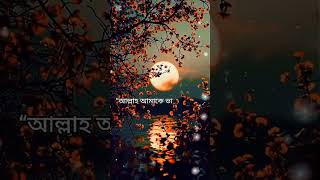 আবু ত্বহা মোহাম্মদ আদনান 🌹abutahamuhammadadnan islamicvideo viralvideos ytshorts trending [upl. by Adlar519]