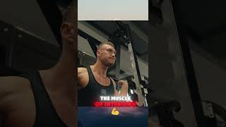 Build Muscle Faster Tom Platzs Stress Technique [upl. by Silera]