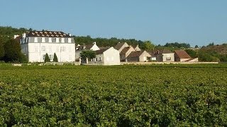 JT spécial vendanges 2014 sur France 3 Bourgogne [upl. by Landri]