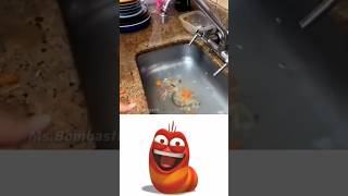 Delicious Food Ever funnyshorts memes fypシ゚viral Food bombastic [upl. by Aivuy374]