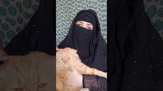 Cat diarrhoea treatment and home remedies common reason and treatment of cats diarrhoea food [upl. by Fokos]