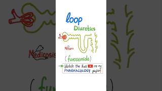 Loop Diuretics  Kidney  Pharmacology physiology anatomy biology nurse doctor mbbs science [upl. by Ahsiekyt]