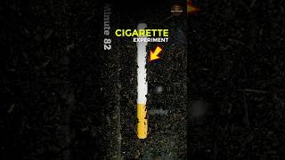 CIGARETTE सिगरेट EXPERIMENT  shorts [upl. by Ronica]