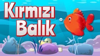 Kırmızı Balık  Çocuk Şarkısı [upl. by Biagio]