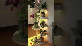 Unique Plant Decoration for Home homedecorgoals homedecor [upl. by Harrington]