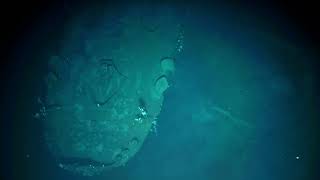 First Visual Survey of IJN Akagi 赤城  Historic Battle of Midway Shipwreck  Nautilus Live [upl. by Alford]