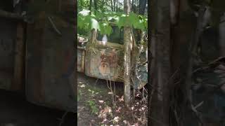 1950 f1 ford deep in the woods [upl. by Ralston]