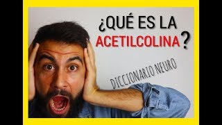 ¿Qué es la ACETILCOLINA [upl. by Eiramannod311]