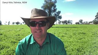 NSW DPI  Pasture Management  Reasons for growing hardseeded legumes [upl. by Glass281]