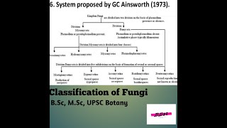 Classification of Fungi BSc MSc UPSC Botany [upl. by Jannel]