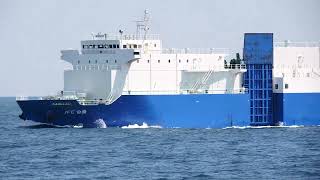 RORO Cargo JFE白隆 [upl. by Undry483]