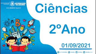 Recursos Naturais  Ciências 2º Ano  01122021 [upl. by Etolas264]