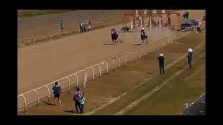 PISTA LAS HERRADURAS 27 DE OCTUBRE CARRERA 4 LA BATICHICA LE GANA A EL ALIJADOR EN 175 YDS [upl. by Jonah447]