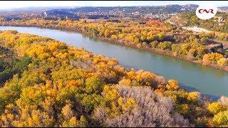 La forêt alluviale de l’Islon de la Barthelasse  un espace protégé [upl. by Thibaut]