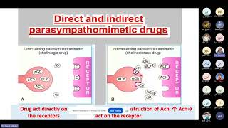 Parasympathomimetics Medicine [upl. by Eenrahc]