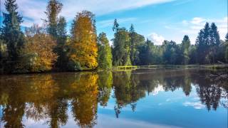 Blockaden und psychosomatische Beschwerden transformieren [upl. by Otokam]