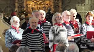 NAVY LARKS SALISBURY CHRISTMAS TREE FESTIVAL 2023 [upl. by Cookie]