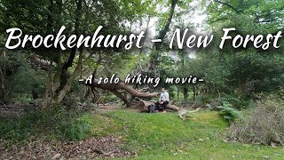 Brockenhurst  New Forest National Park  An ASMR Hiking Movie [upl. by Portuna]