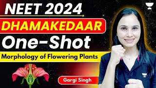 Morphology of Flowering Plants  Dhamakedaar One Shot  NEET 2024  Dr Gargi [upl. by Hitchcock475]