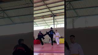 pencaksilatindonesia subscribe🙏✅martialarts🥋asianmartialarts silat shorts sportsmma ufc [upl. by Brittnee684]