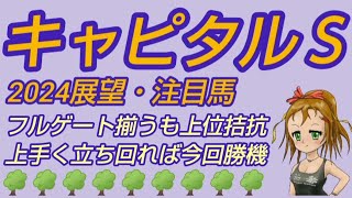 【キャピタルステークス2024】展望・注目馬◆フルゲート揃うも上位拮抗か上手く立ち回ればチャンス充分 [upl. by Neersan]