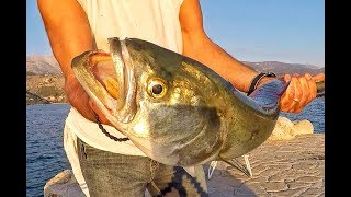 Bluefish techniques amp tips fishing greece “Ψάρεμα γοφάριαquot [upl. by Radford]