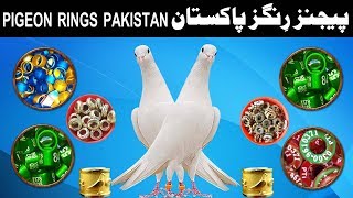 Pigeon Rings Pakistan [upl. by Wilkison]