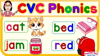 CVC Phonics  Words and Sentences  English Reading Practice for kids  Compilation [upl. by Jacobah]