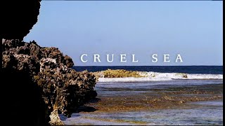 Walking With Reviewers Episode 3 Cruel Sea [upl. by Arraeit]