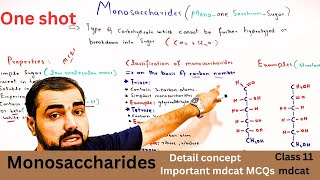 Monosaccharide  One shot Classification of carbohydrates  class 11  in Urdu  Hindi medium [upl. by Koppel]