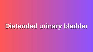 Distended urinary bladder [upl. by Liggett]