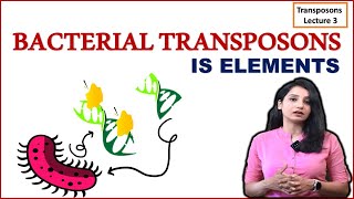 Bacterial Transposons I IS Elements I Composite and Non composite Transposons I [upl. by Ahsika]